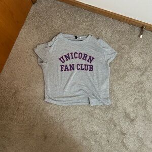 Hollister Gray and Purple Short Sleeve Tee